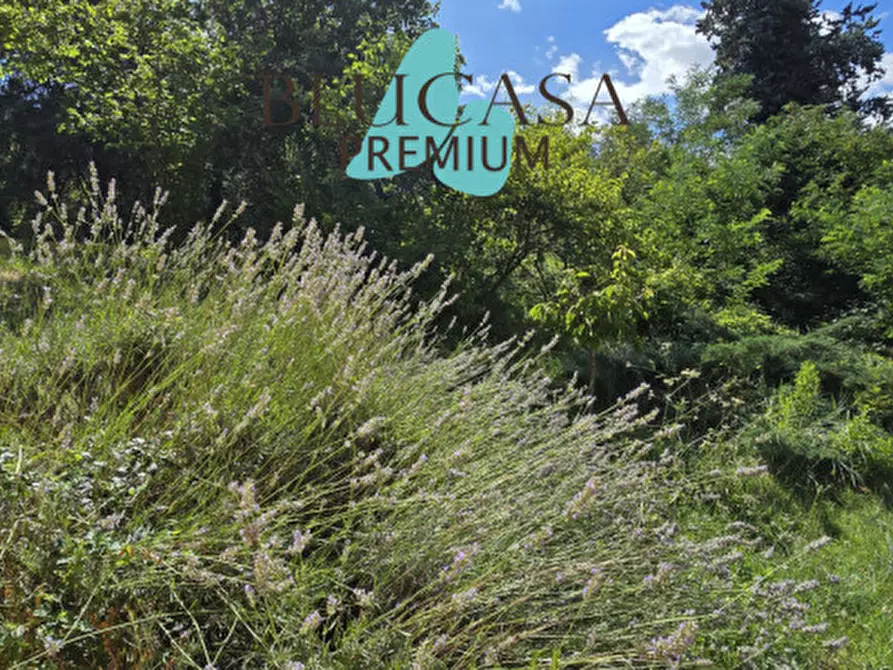 Immagine 46 di Casa indipendente in vendita  in Strada di Dogheria a Meldola