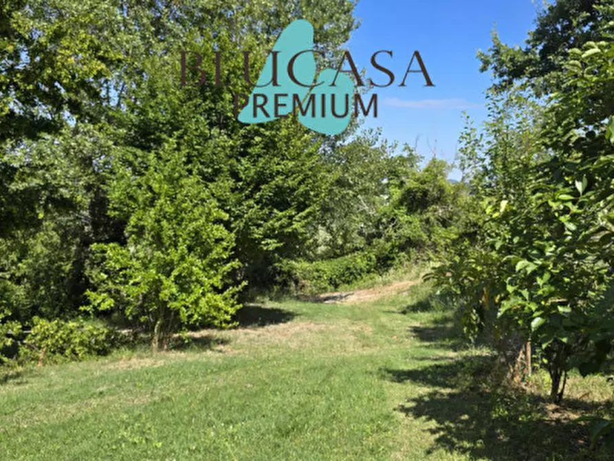 Immagine 49 di Casa indipendente in vendita  in Strada di Dogheria a Meldola