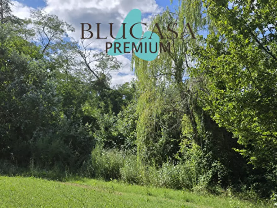 Immagine 51 di Casa indipendente in vendita  in Strada di Dogheria a Meldola