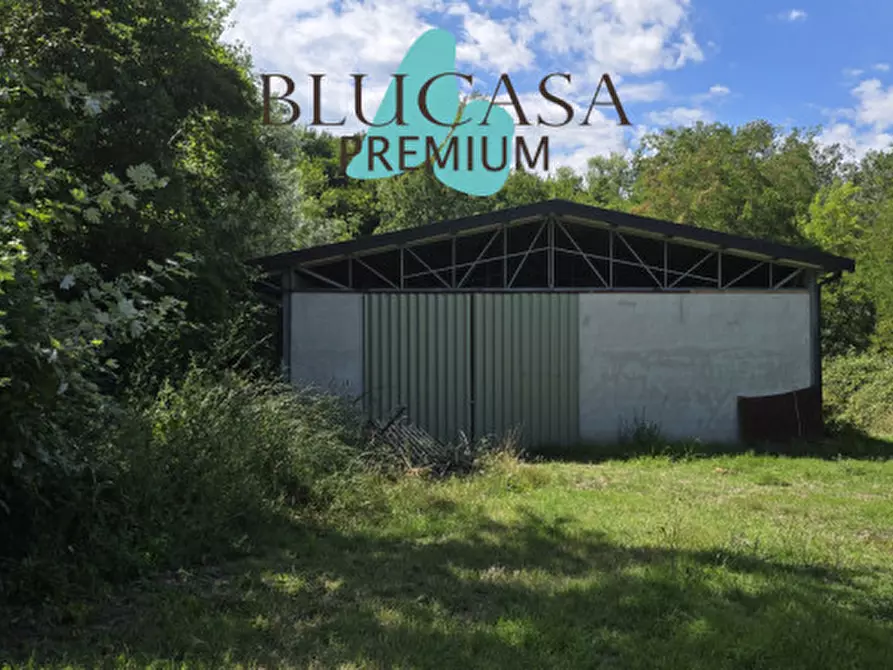 Immagine 52 di Casa indipendente in vendita  in Strada di Dogheria a Meldola