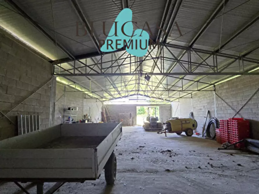 Immagine 58 di Casa indipendente in vendita  in Strada di Dogheria a Meldola