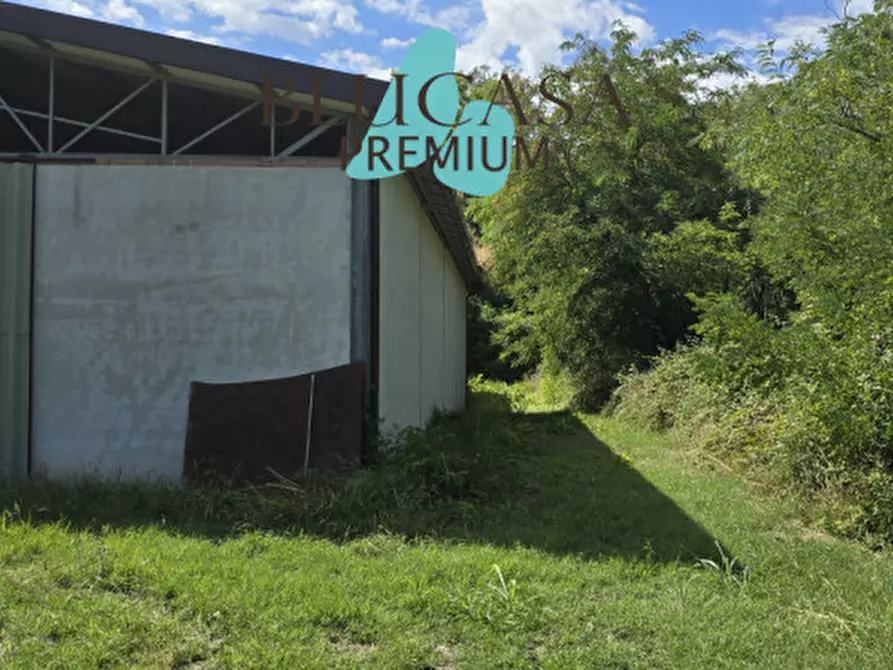 Immagine 59 di Casa indipendente in vendita  in Strada di Dogheria a Meldola