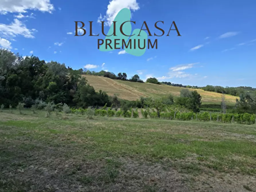 Immagine 60 di Casa indipendente in vendita  in Strada di Dogheria a Meldola