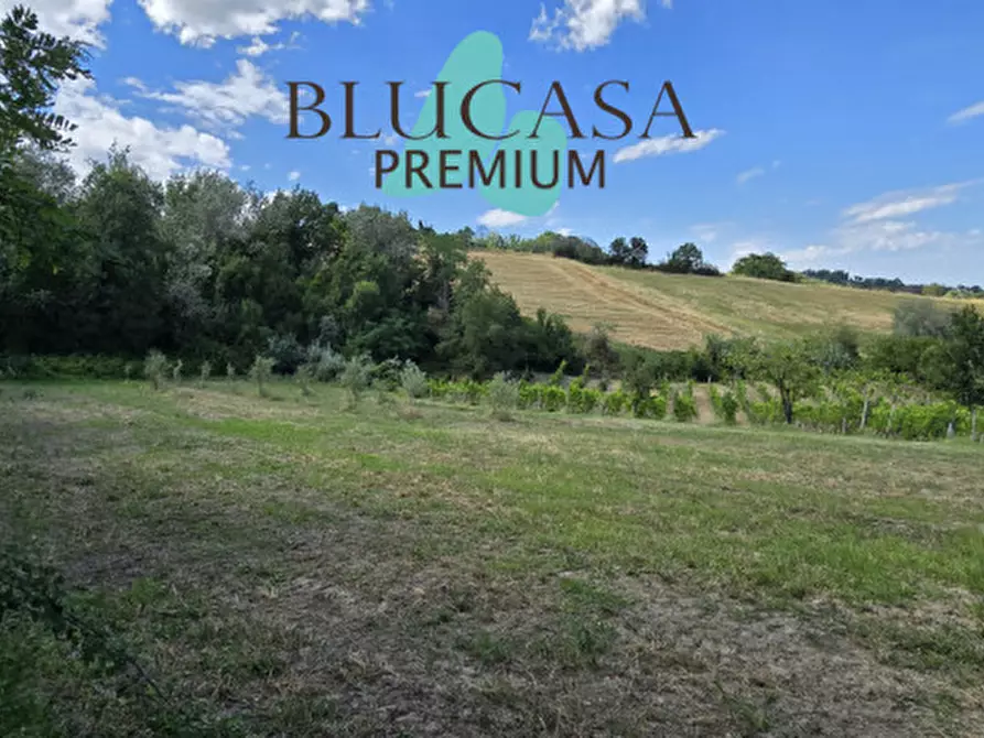 Immagine 61 di Casa indipendente in vendita  in Strada di Dogheria a Meldola