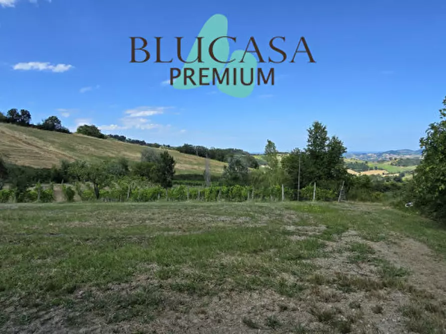 Immagine 62 di Casa indipendente in vendita  in Strada di Dogheria a Meldola