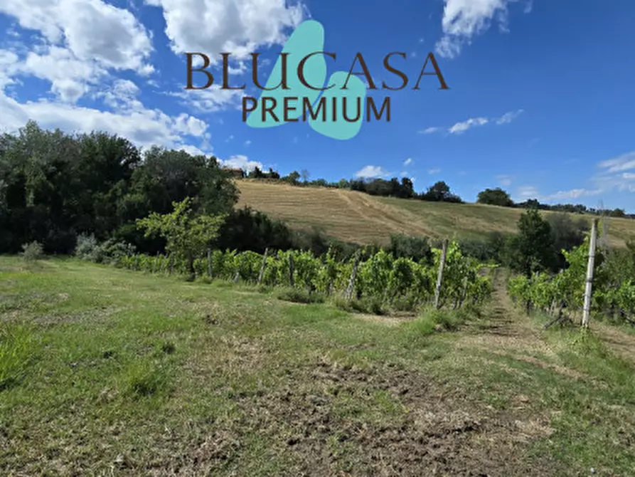 Immagine 64 di Casa indipendente in vendita  in Strada di Dogheria a Meldola