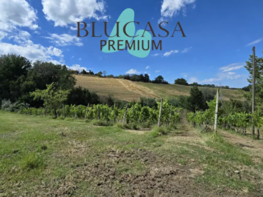 Immagine 65 di Casa indipendente in vendita  in Strada di Dogheria a Meldola