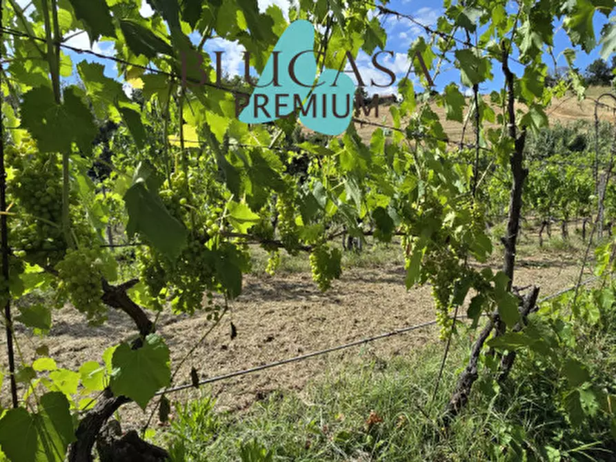 Immagine 68 di Casa indipendente in vendita  in Strada di Dogheria a Meldola