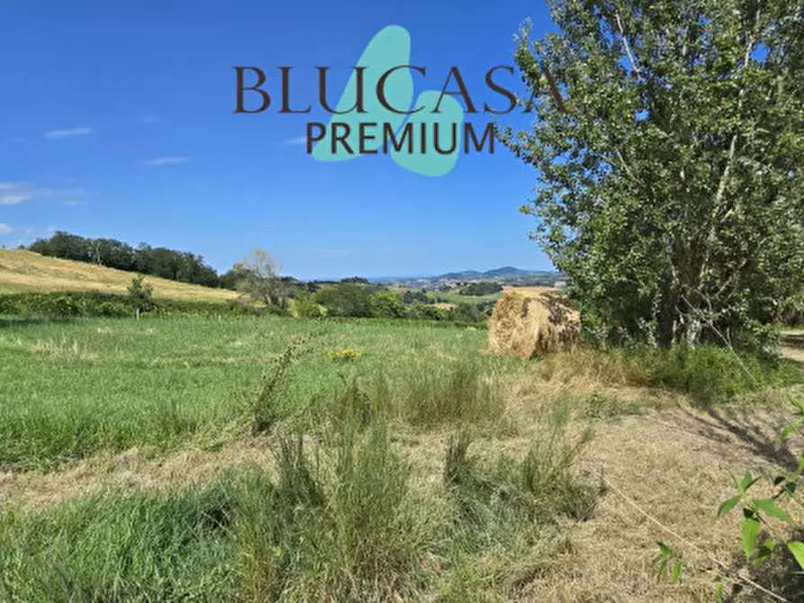 Immagine 69 di Casa indipendente in vendita  in Strada di Dogheria a Meldola