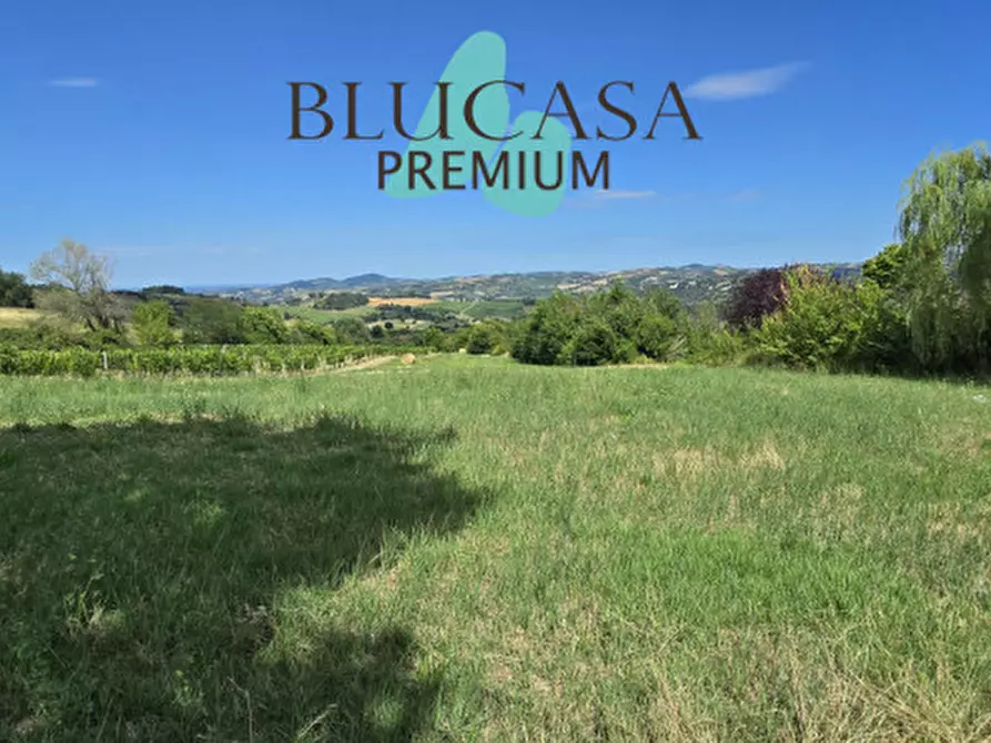 Immagine 71 di Casa indipendente in vendita  in Strada di Dogheria a Meldola