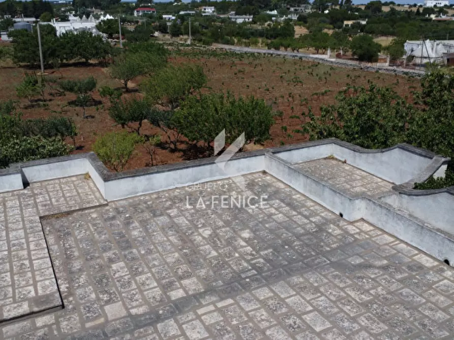 Immagine 5 di Villa in vendita  in strada pilozzo a Martina Franca