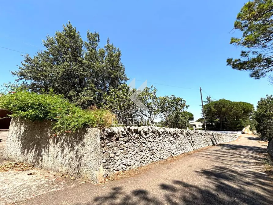 Immagine 6 di Villa in vendita  in strada pilozzo a Martina Franca