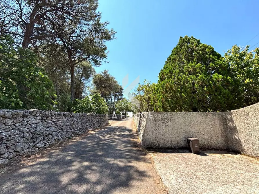 Immagine 7 di Villa in vendita  in strada pilozzo a Martina Franca