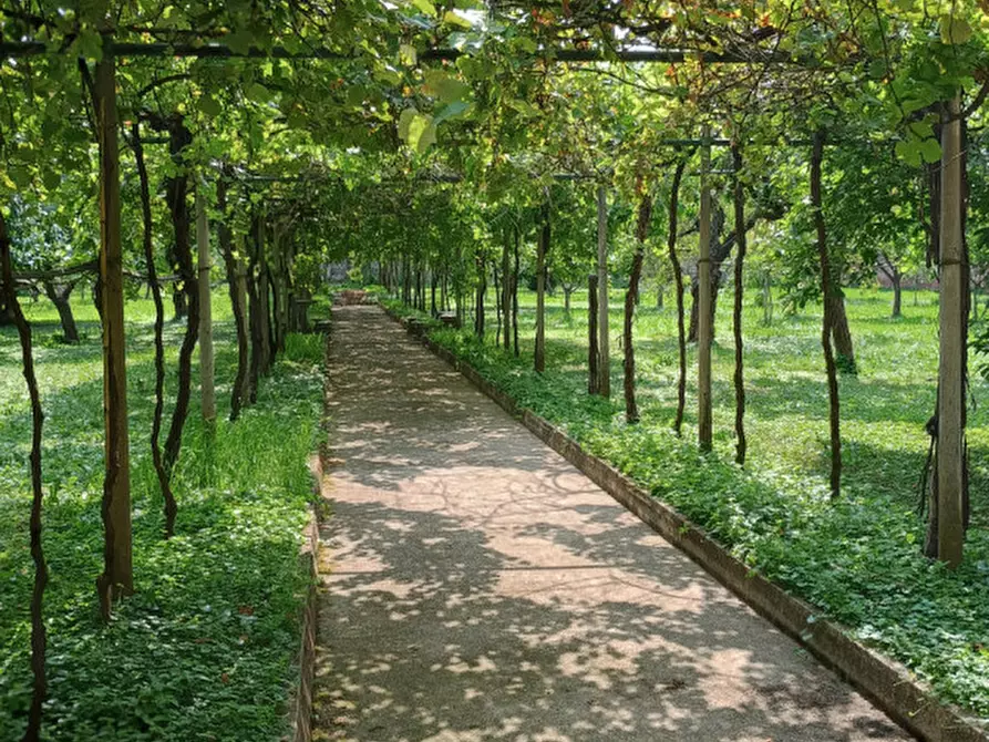 Immagine 4 di Villa in vendita  in Via Legione Antonini, 91 a Vicenza