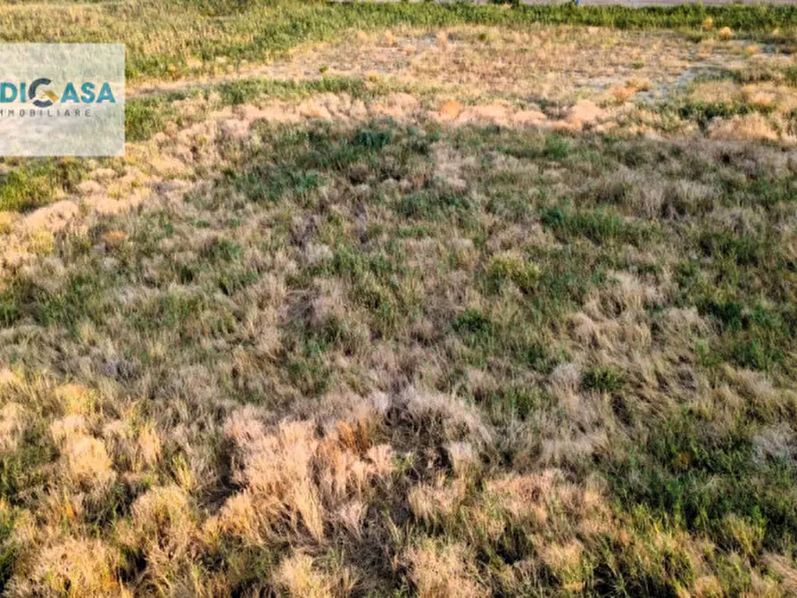 Immagine 3 di Terreno in vendita  a Montescaglioso
