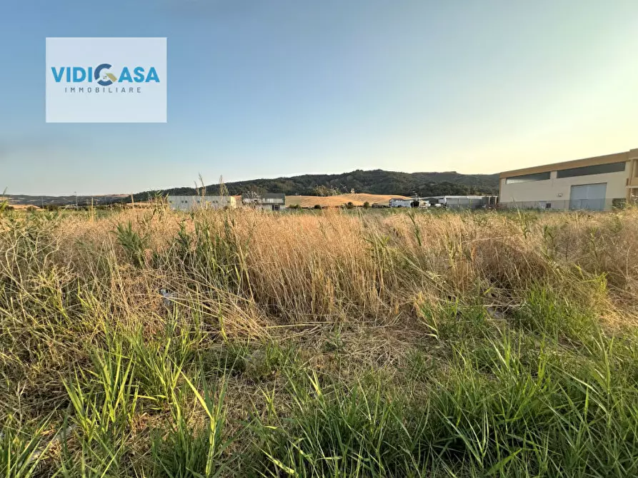 Immagine 4 di Terreno in vendita  a Montescaglioso