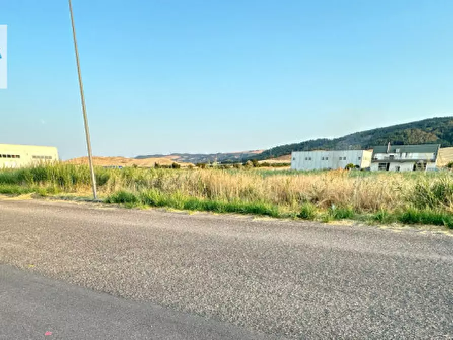 Immagine 7 di Terreno in vendita  a Montescaglioso