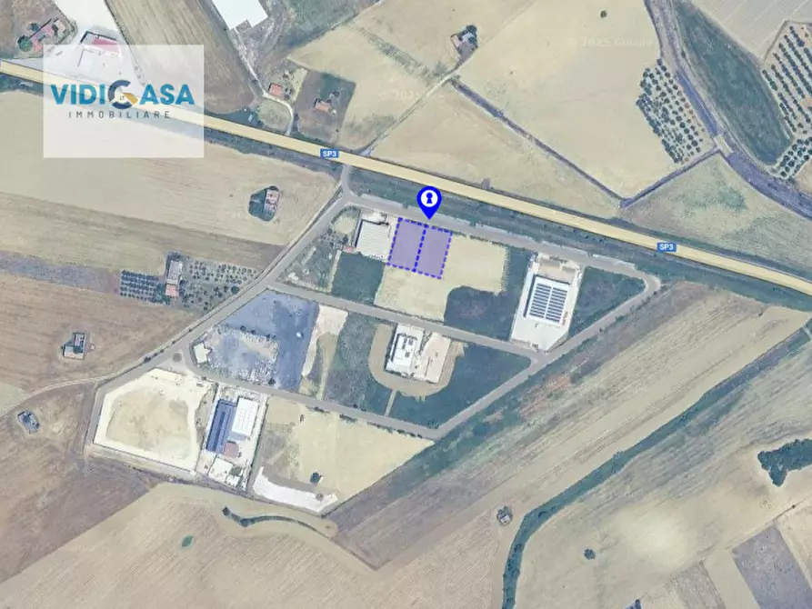 Immagine 8 di Terreno in vendita  a Montescaglioso