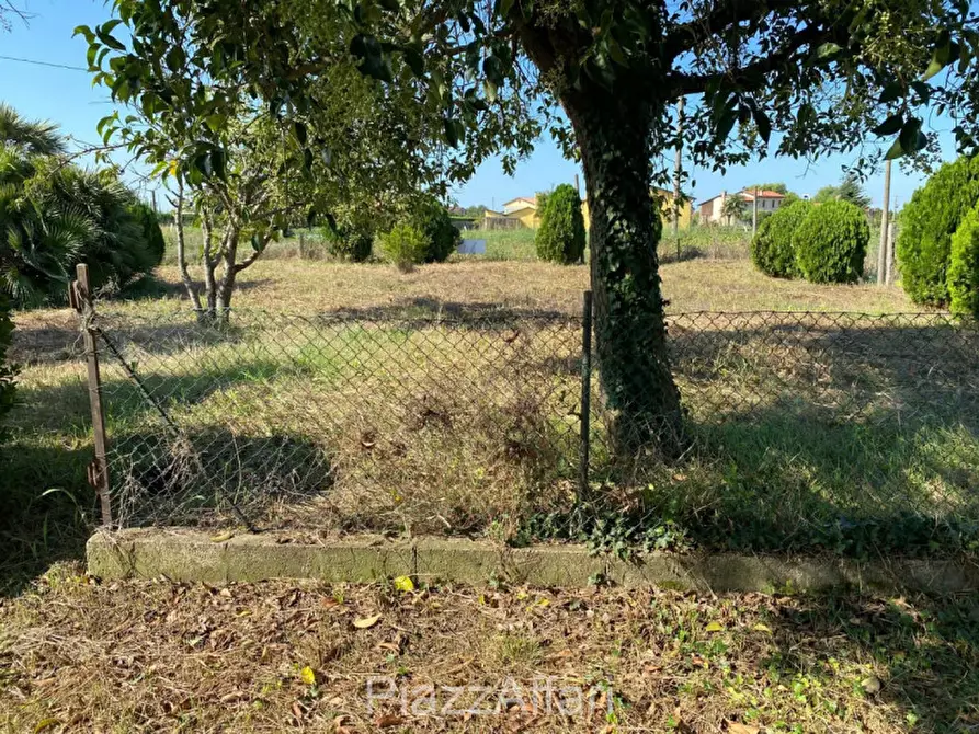 Immagine 6 di Terreno in vendita  a Codevigo