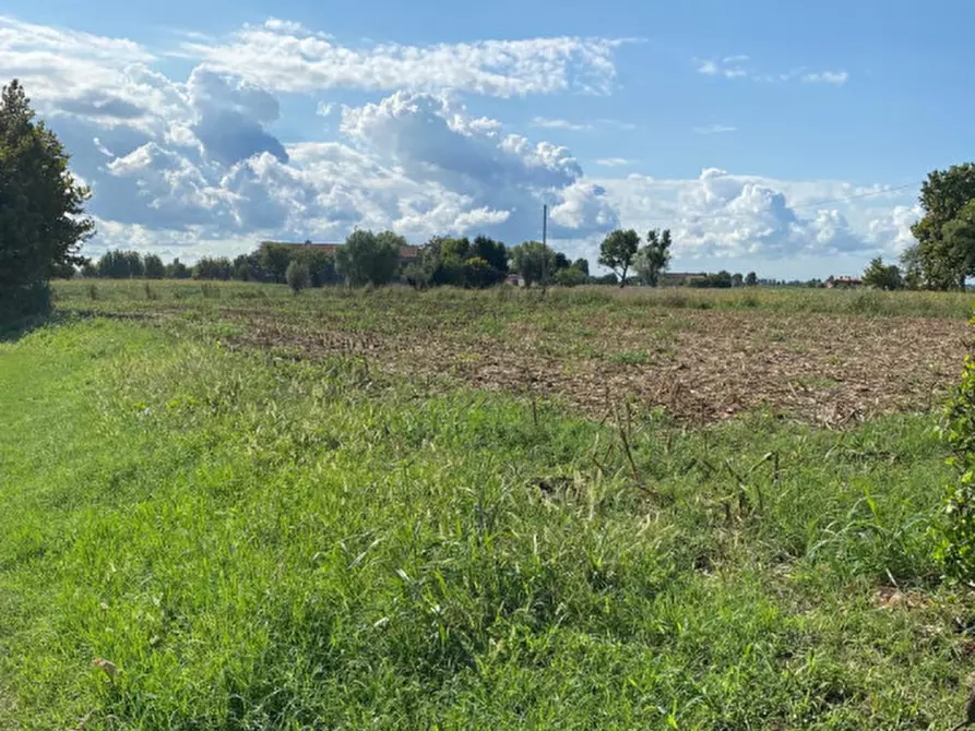 Immagine 7 di Terreno in vendita  a Codevigo