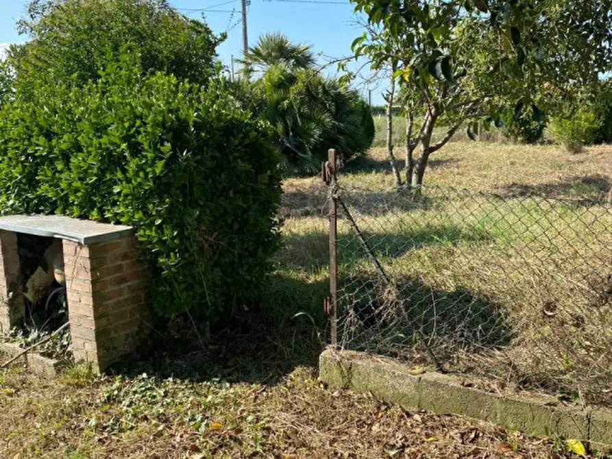 Immagine 12 di Terreno in vendita  a Codevigo