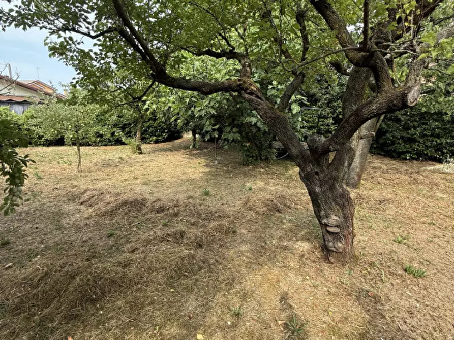 Immagine 2 di Villa in vendita  in VIA DELLE MOTTE a Martellago