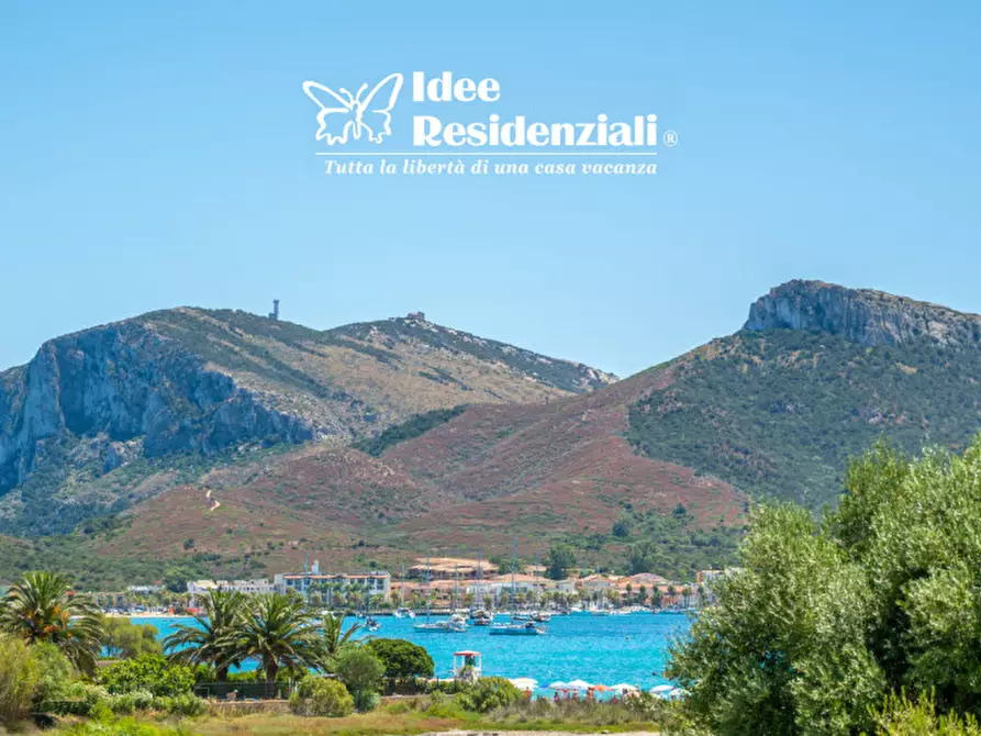 Immagine 5 di Appartamento in vendita  in viale Concas Caddinas a Golfo Aranci