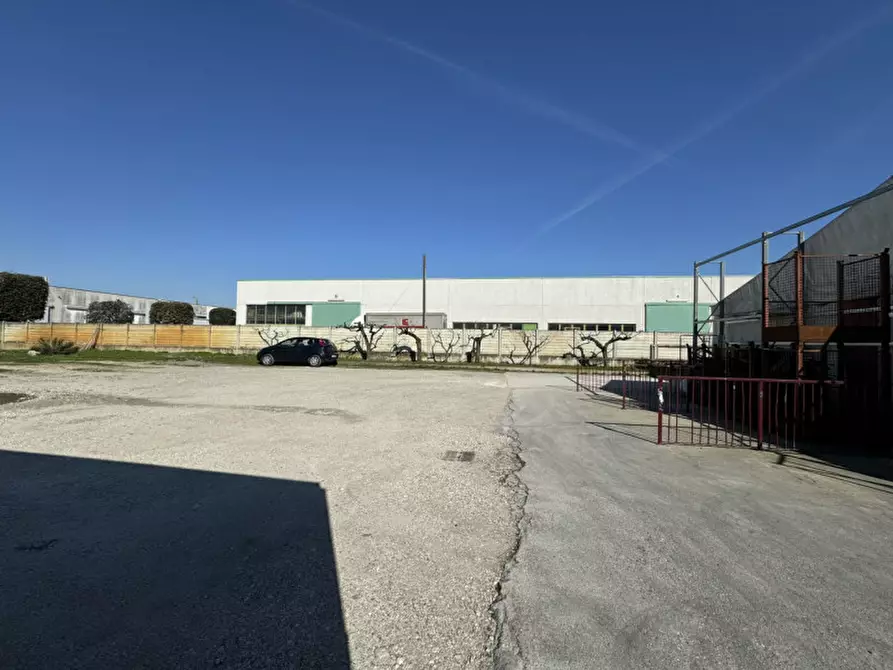 Immagine 7 di Capannone industriale in vendita  in Via Umbria a Monselice