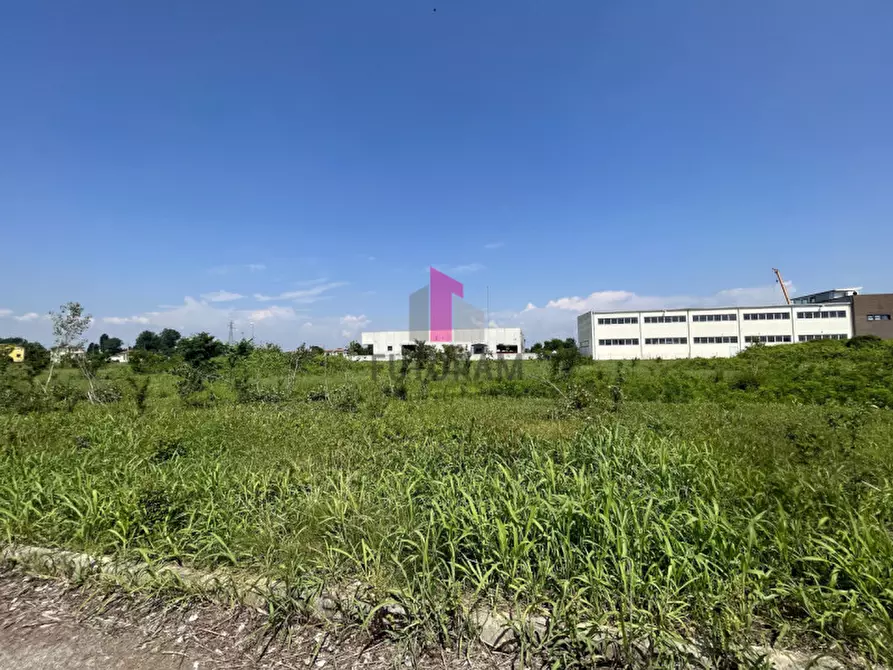 Immagine 10 di Terreno in vendita  in via Fornace a San Giorgio Delle Pertiche