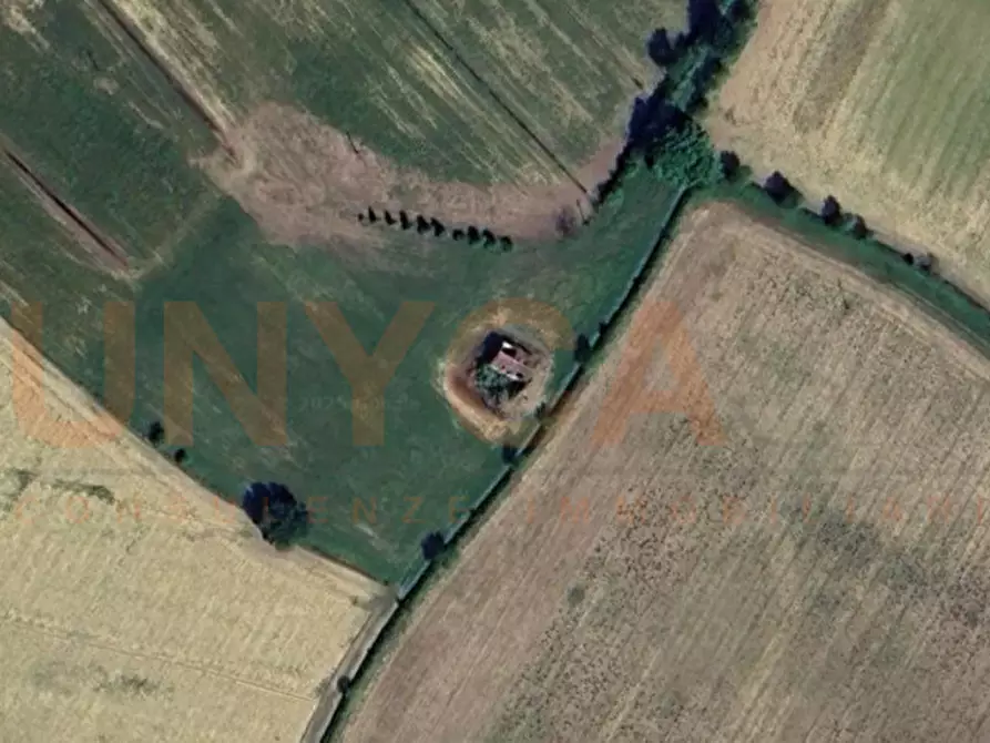 Immagine 7 di Rustico / casale in vendita  in Via Roma a Montegaldella