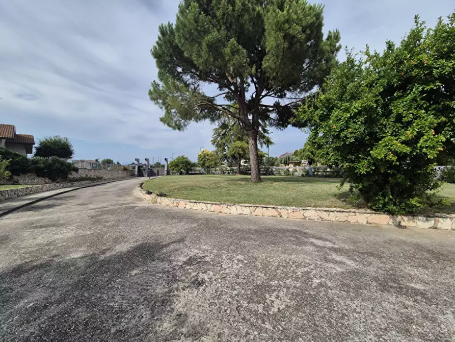 Immagine 7 di Villa in vendita  in Via Marcabella a Zimella