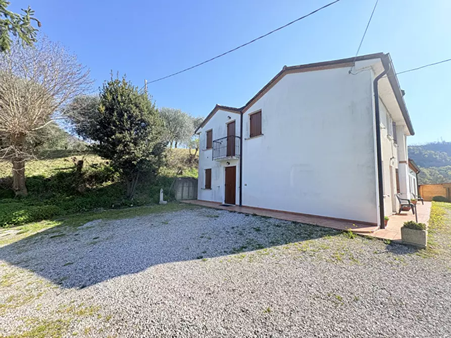 Immagine 2 di Casa bifamiliare in vendita  in Via Pestrini a Cinto Euganeo