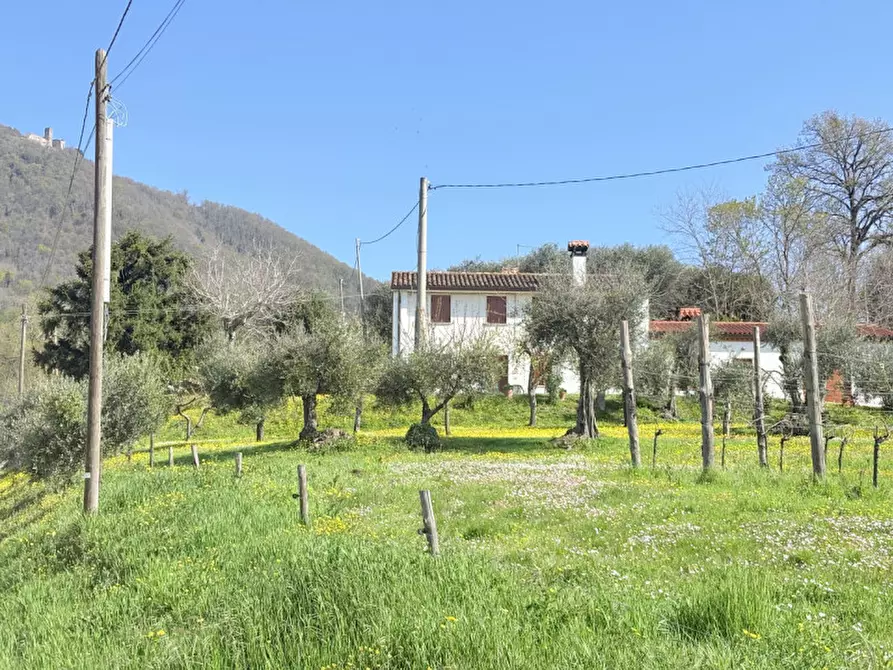 Immagine 4 di Casa bifamiliare in vendita  in Via Pestrini a Cinto Euganeo