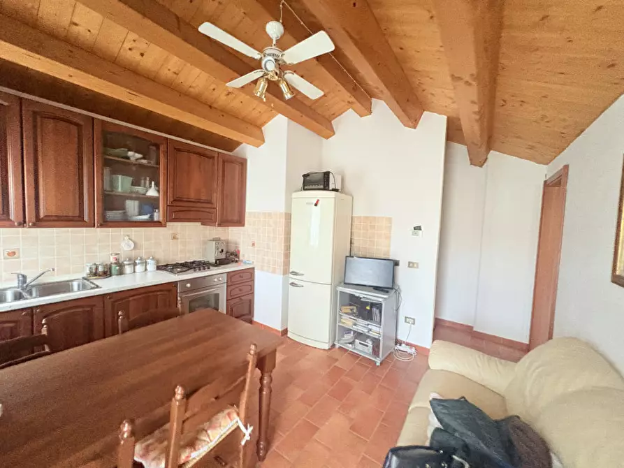 Immagine 11 di Casa bifamiliare in vendita  in Via Pestrini a Cinto Euganeo