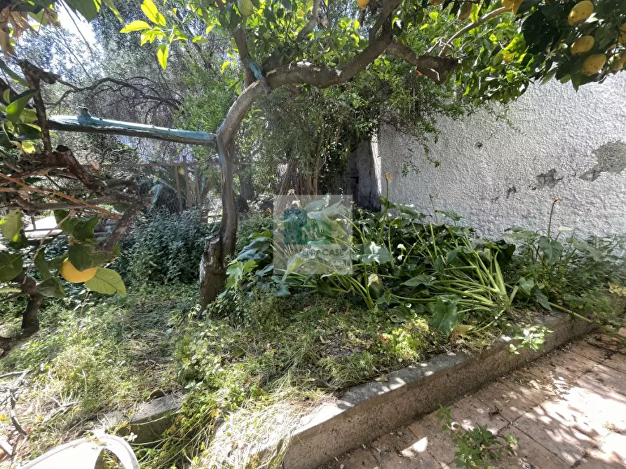 Immagine 6 di Negozio in vendita  in Via Cardinale Luigi Lavitrano 18 a Forio