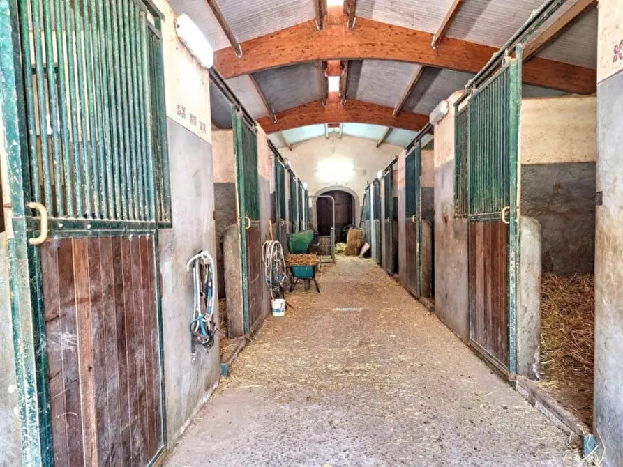 Immagine 28 di Hotel in vendita  in Località Mandra Edera, Abbasanta OR, Italia a Abbasanta