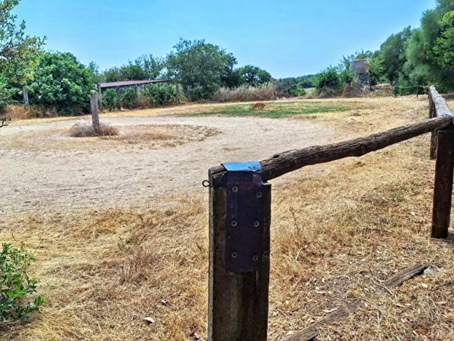 Immagine 29 di Hotel in vendita  in Località Mandra Edera, Abbasanta OR, Italia a Abbasanta