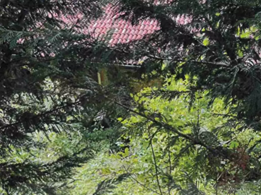 Immagine 5 di Appartamento in vendita  in LOCALITÀ BURGAGNANI a Badia Calavena