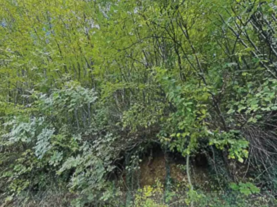 Immagine 7 di Appartamento in vendita  in LOCALITÀ BURGAGNANI a Badia Calavena