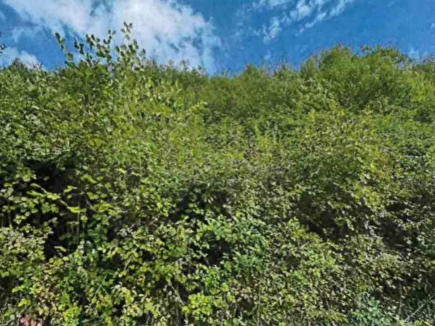 Immagine 8 di Appartamento in vendita  in LOCALITÀ BURGAGNANI a Badia Calavena