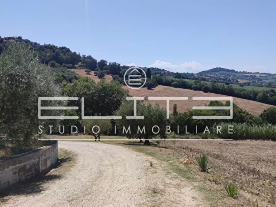 Immagine 9 di Rustico / casale in vendita  in OSIMO a Osimo