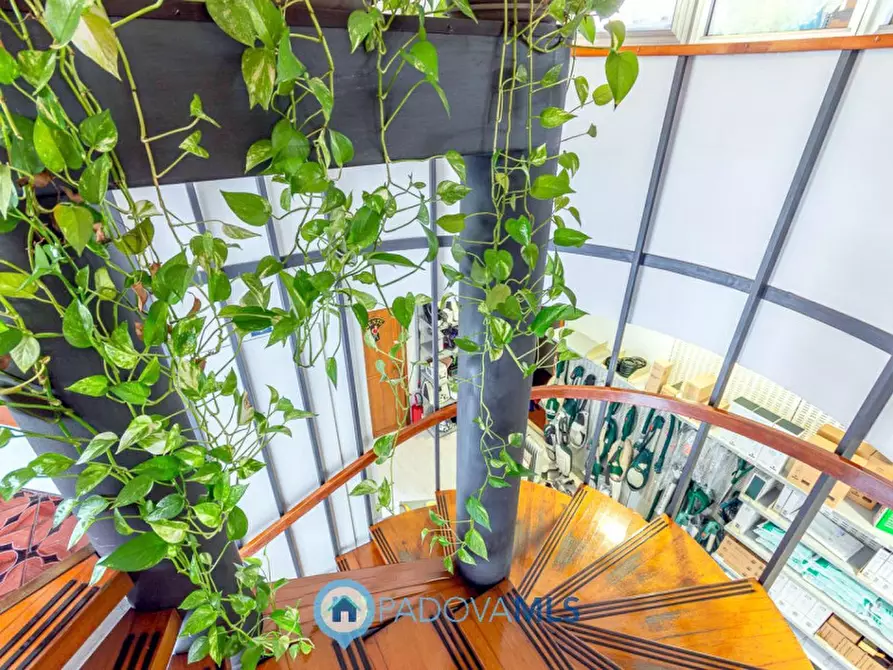 Immagine 16 di Negozio in vendita  in Via Sant'Osvaldo a Padova