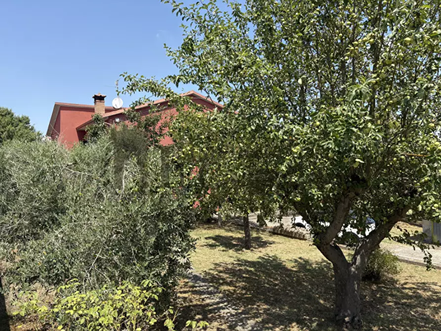 Immagine 37 di Casa indipendente in vendita  in vaiano a Castiglione Del Lago