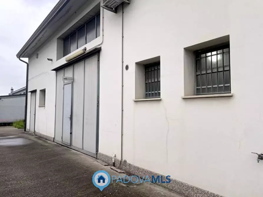 Immagine 4 di Ufficio in vendita  in Via Visco a Limena