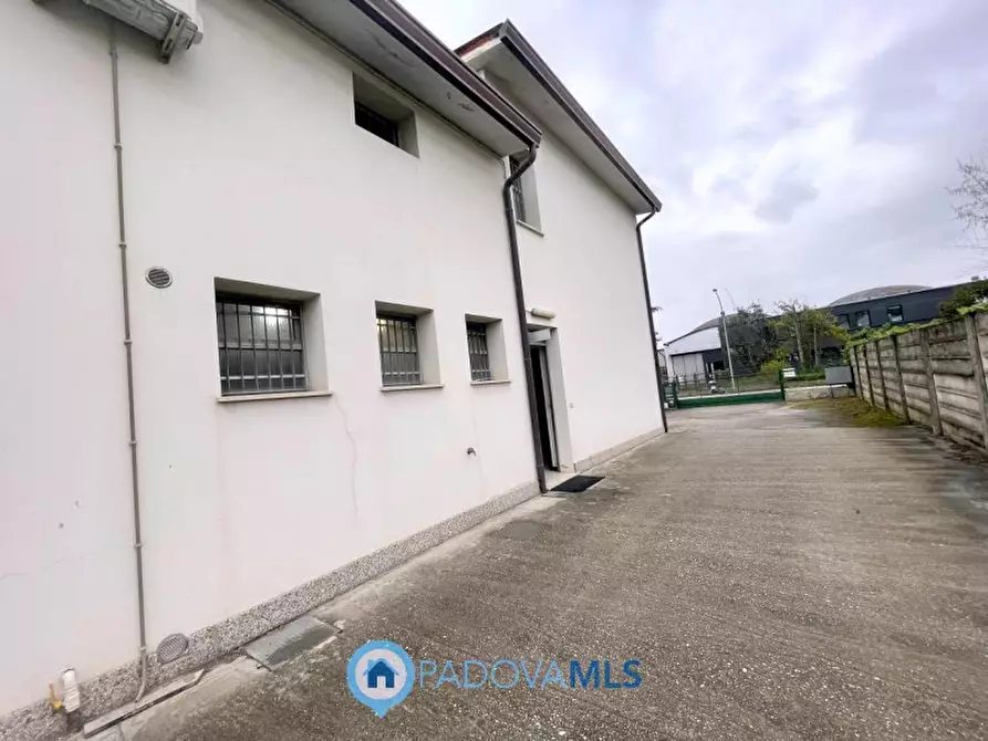 Immagine 5 di Ufficio in vendita  in Via Visco a Limena