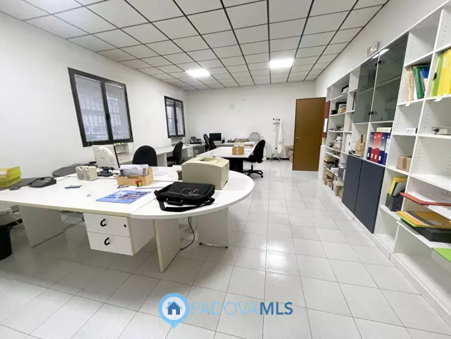 Immagine 6 di Ufficio in vendita  in Via Visco a Limena