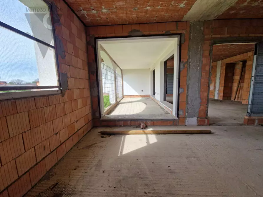 Immagine 14 di Villa in vendita  a Legnaro