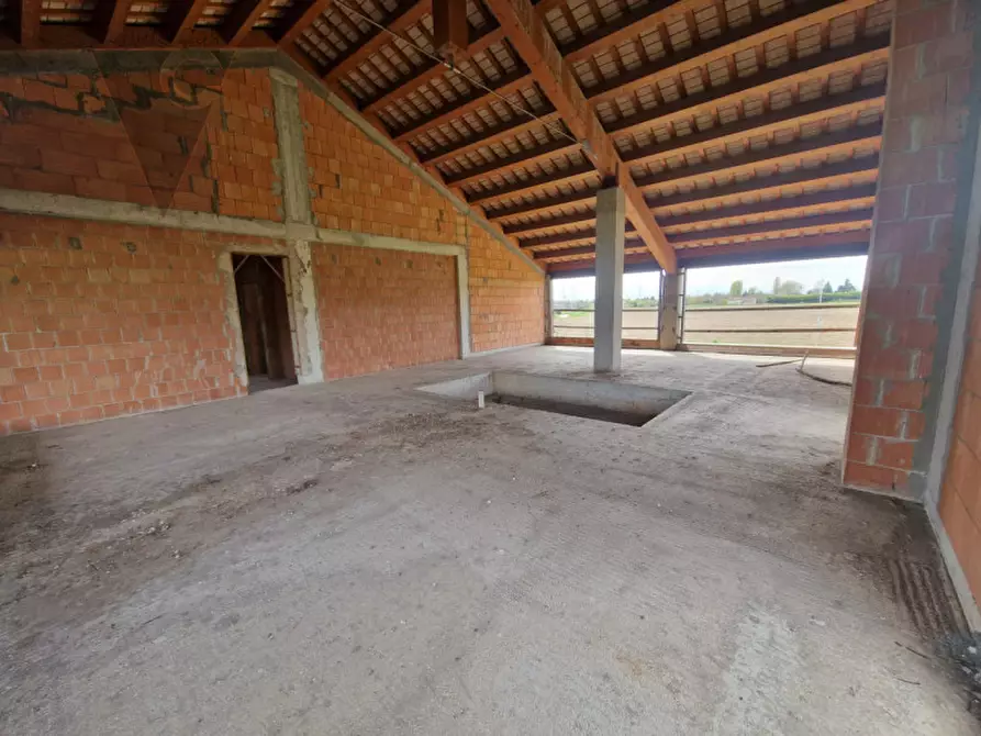 Immagine 17 di Villa in vendita  a Legnaro