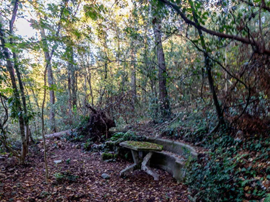 Immagine 9 di Casa indipendente in vendita  a Lerici
