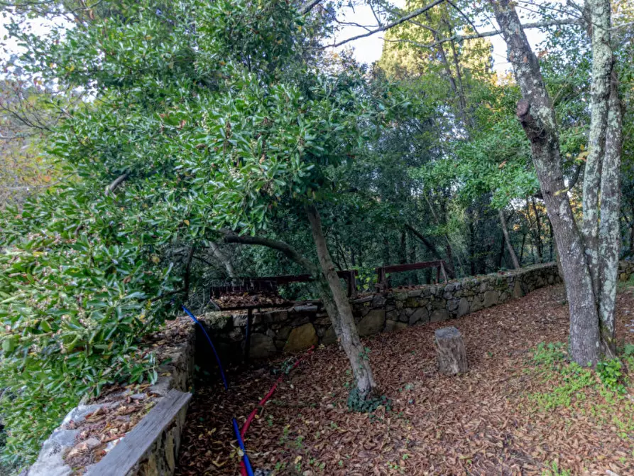 Immagine 10 di Casa indipendente in vendita  a Lerici